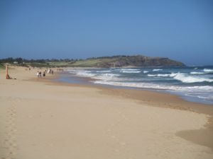 Dee Why Beach Australia